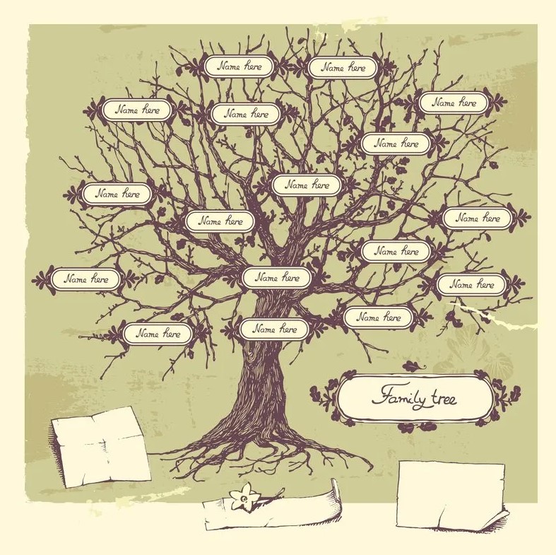 Cercetare genealogică profesională și arbore genealogic